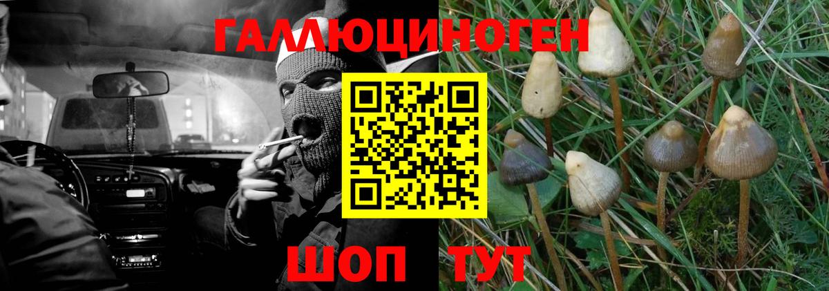 Галлюциногенные грибы мицелий Апатиты